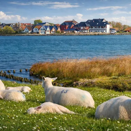 Ort Lemkenhafen Stueven 20 * Fehmarn