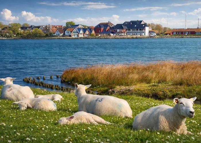 Ort Lemkenhafen Stueven 20 * Fehmarn